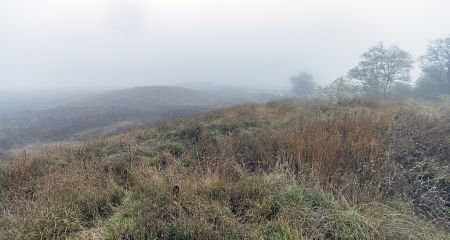 На Запоріжжі самовільно захопили землі ботанічного заказника – подробиці