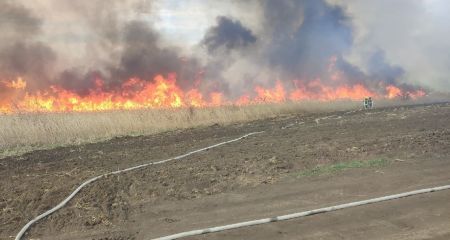 Майже два гектари спаленої трави: на Запоріжжі ліквідували вісім пожеж