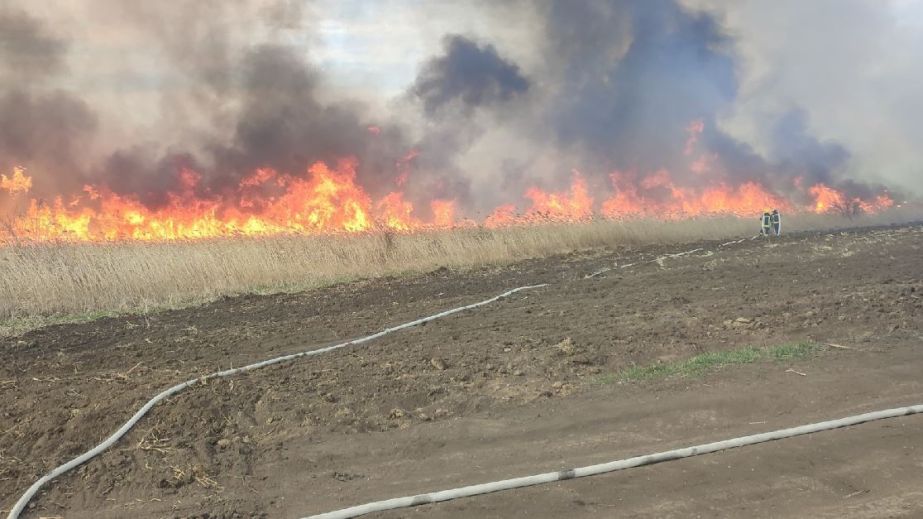 Майже два гектари спаленої трави: на Запоріжжі ліквідували вісім пожеж