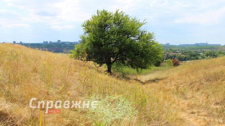 Красота и раны заповедного острова в Запорожье: как выглядит июльская Хортица