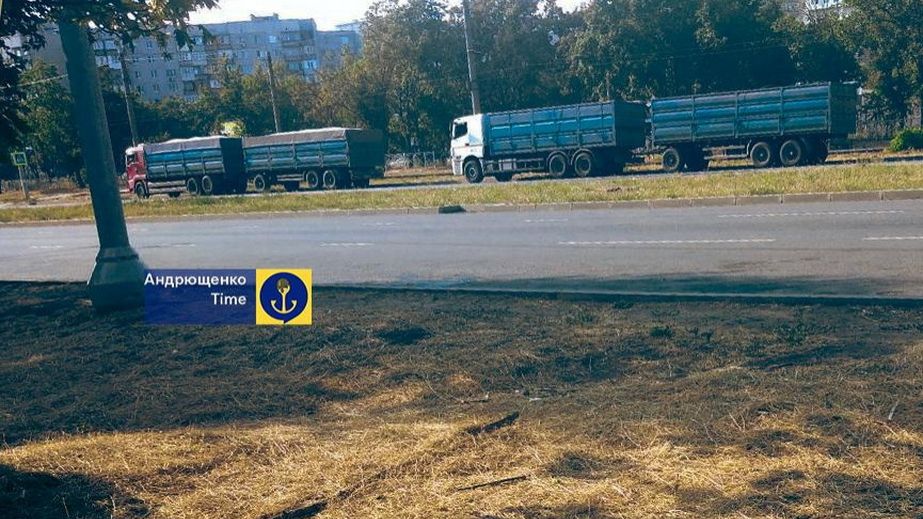 Россияне вывозят из Запорожской области зерно нового урожая – кадры
