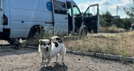 Вражеский дрон взорвался рядом с волонтерской командой на Запорожье