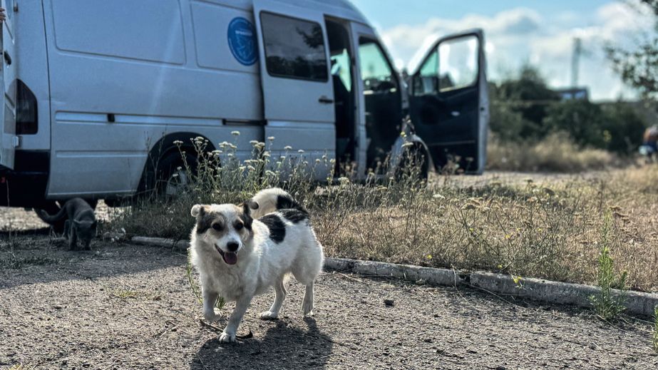 Вражеский дрон взорвался рядом с волонтерской командой на Запорожье