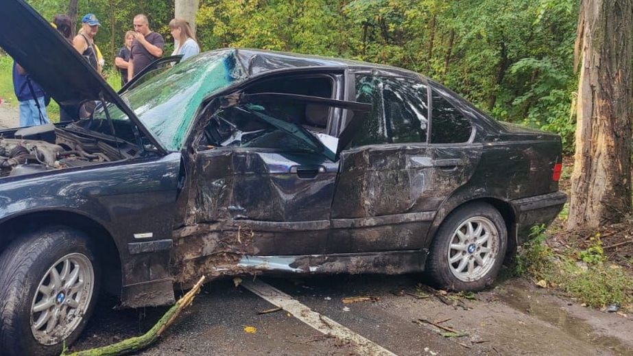 В Запорожье BMW влетел в дерево – двое пострадавших
