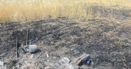 Ячмінне поле спалахнуло на Запоріжжі через ворожий обстріл