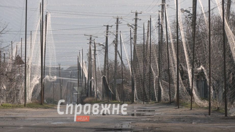 Запрет на возвращение детей после эвакуации ввели под Запорожьем