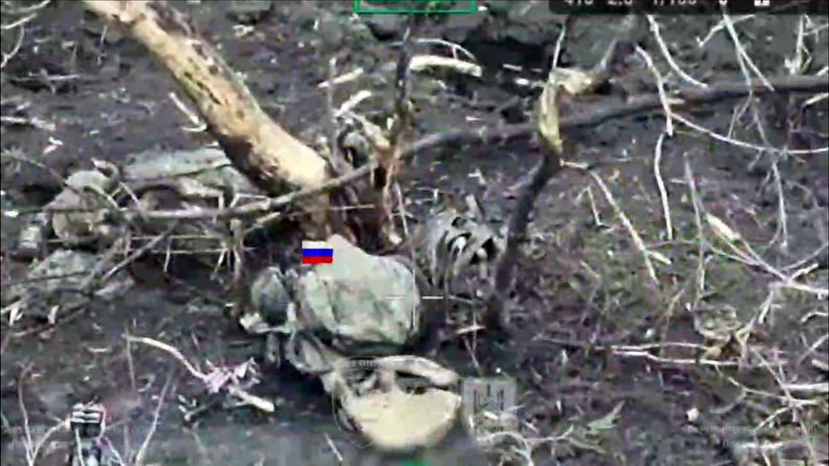 Защитники расширяют "кил-зону" возле Гуляйполя – врага достают за 30 км