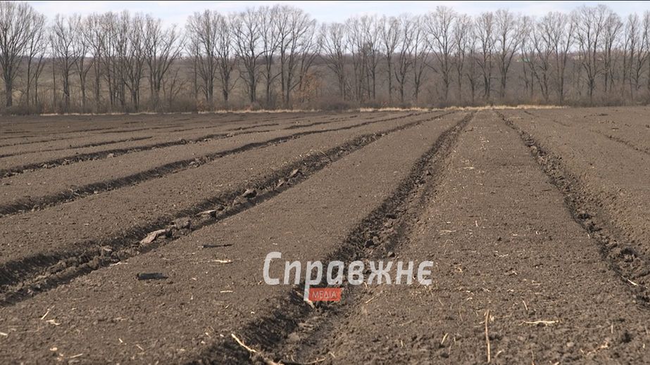 "Надто небезпечно": посівну згортають біля фронту на Запоріжжі