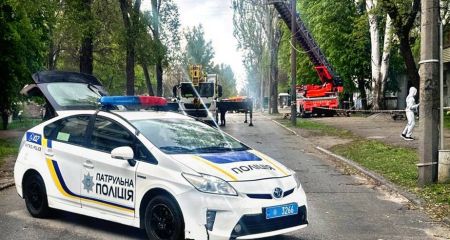 Через повалені дерева в Запоріжжі довелося перекривати рух &ndash; кадри