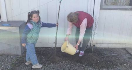 Фінал Toloka Festival 2026: у Запоріжжі озеленили модульне містечко для ВПО