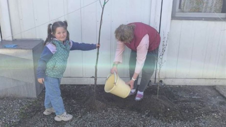 Фінал Toloka Festival 2026: у Запоріжжі озеленили модульне містечко для ВПО