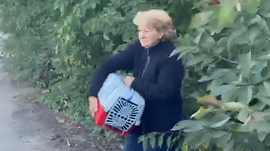 С котом в переноске и под "вражеским глазом": как эвакуировали жительницу села на Запорожье