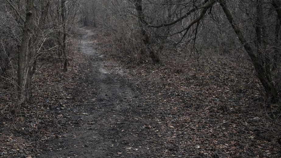 Будівельне сміття у воді: екологи домоглися розчищення балки Попівки в Запоріжжі