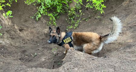 Тело застреленного запорожского парня разыскали с помощью поисковых собак