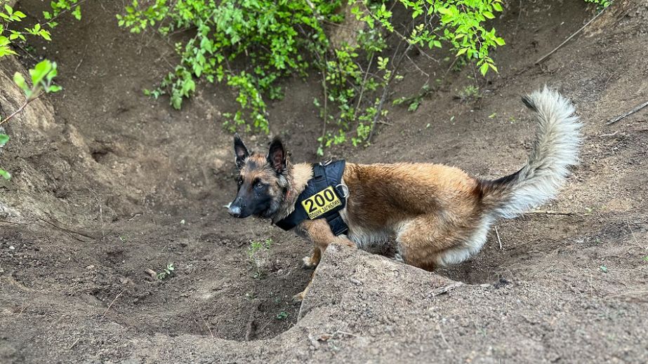 Тіло застреленого запорізького парубка розшукали за допомогою пошукових собак