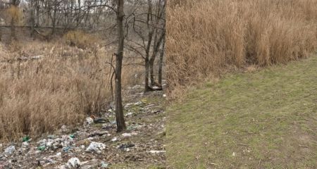 Мусор убрали возле Мокрой Московки в Запорожье – было и стало