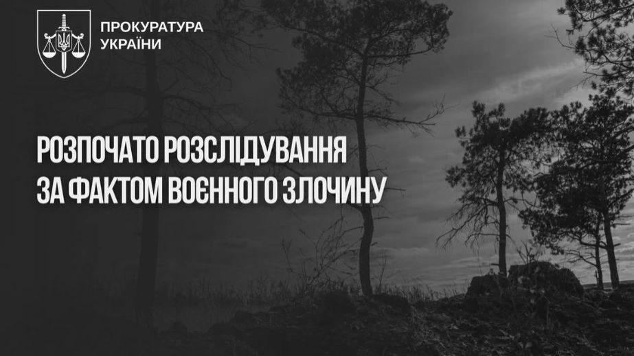 Россияне расстреляли пленных бойцов ВСУ на Гуляйпольском направлении