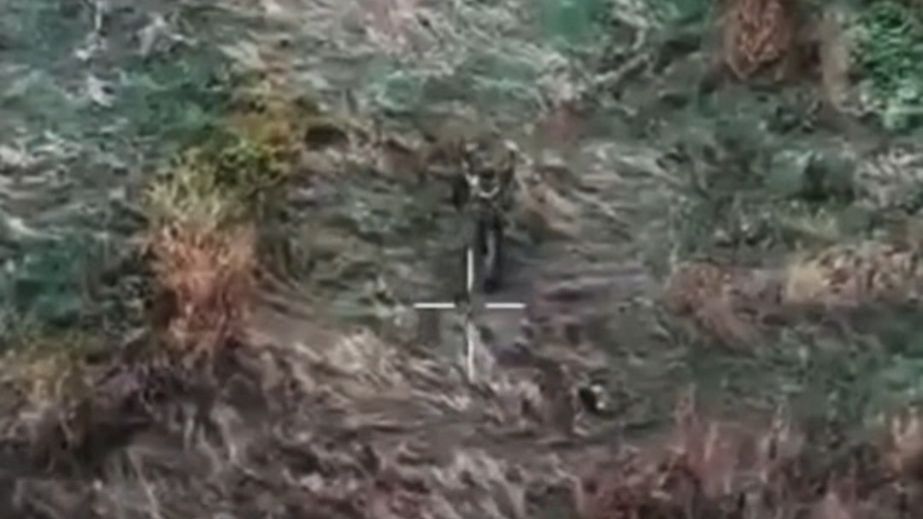 На Запорожье взяли в плен российского военного-"флаговтика"