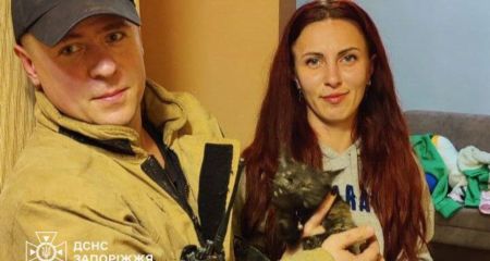 Від пастки до безпечного дому: на Запоріжжі рятують тварин