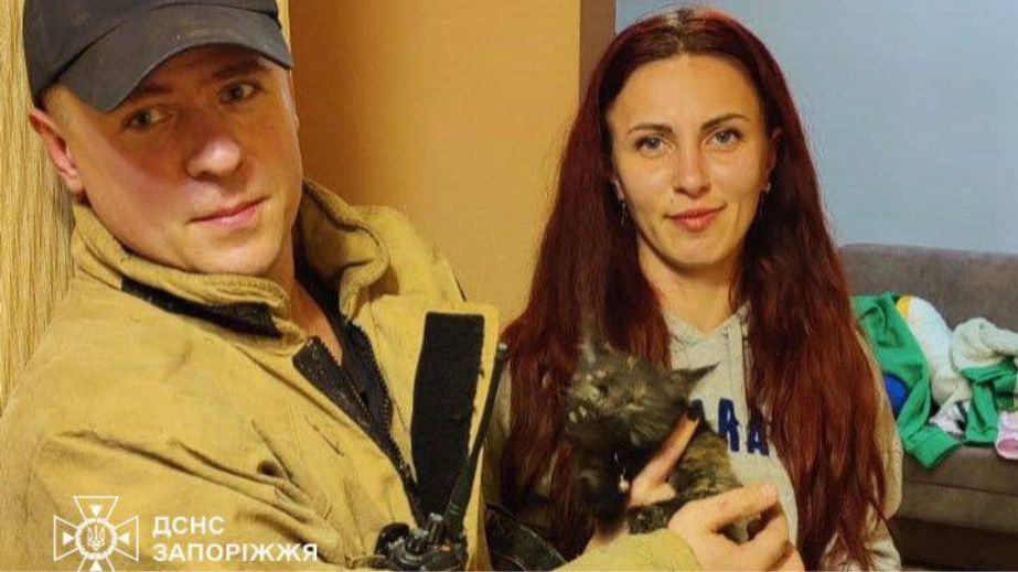 От ловушки до безопасного дома:на Запорожье спасают животных