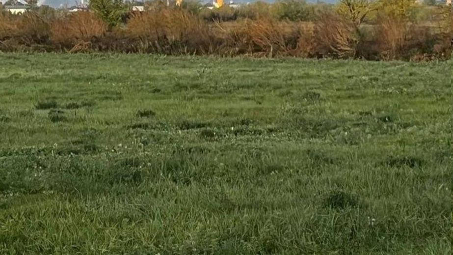 В Бердянщине оккупанты требуют подтвердить права на землю