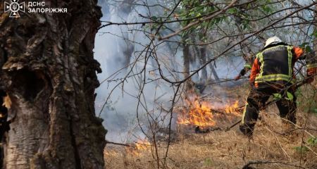 Обстрелы россиян вызвали два пожара в Запорожье