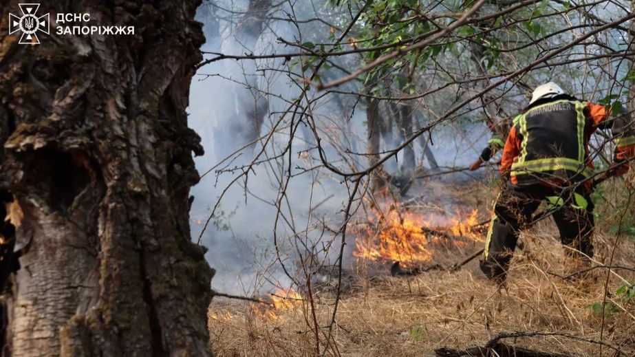 Обстрелы россиян вызвали два пожара в Запорожье