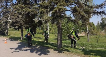 Ко второй волне косьбы травы перешли в Запорожье