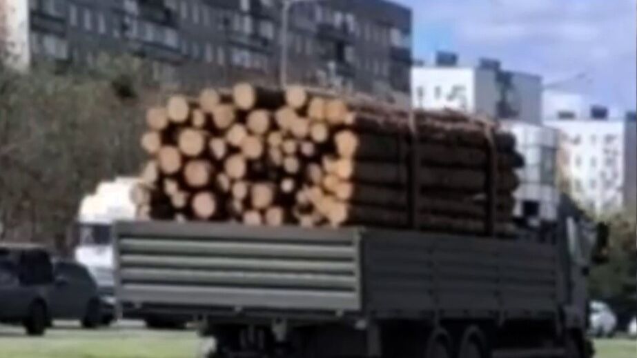 Россияне массово везут лес на Гуляйпольское направление, &ndash; Андрющенко