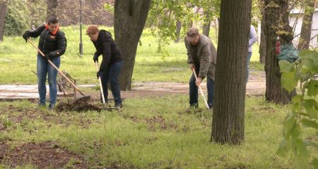 Мільйон гривень міг перевитратити на покосі трави бюджет Запоріжжя