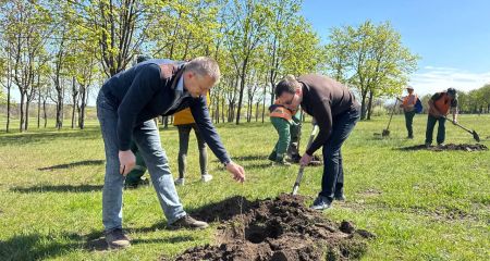 "Тарасові" дубки висадили в запорізькому парку &ndash; як це відбувалося