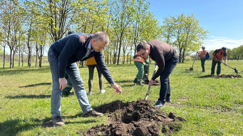 "Тарасові" дубки висадили в запорізькому парку &ndash; як це відбувалося