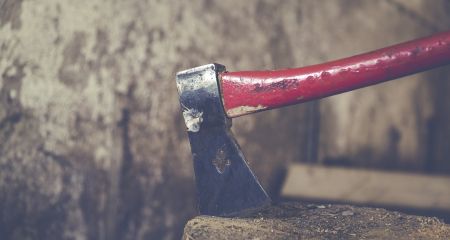 Суд зобов’язав браконьєрів компенсувати шкоду довкіллю, завдану вирубкою акацій в Запорізькому районі