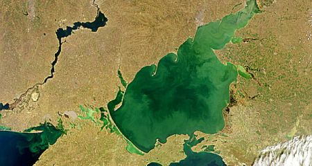 Азовское море становится соленее из-за экоцида россиян &ndash; последствия