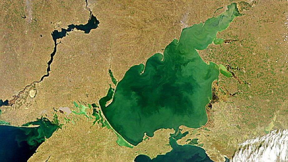 Азовское море становится соленее из-за экоцида россиян &ndash; последствия