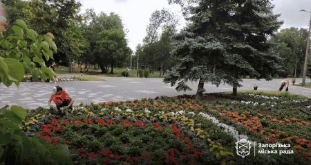 Около 300 тонн мусора собрали в запорожской "Дубовке" в этом году