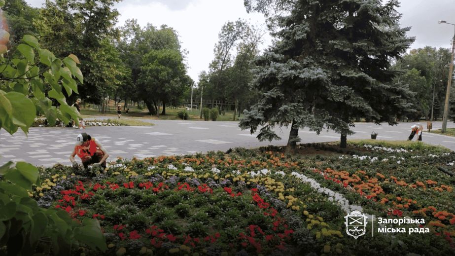 Майже 300 тонн сміття зібрали у запорізькій "Дубовці" цьогоріч