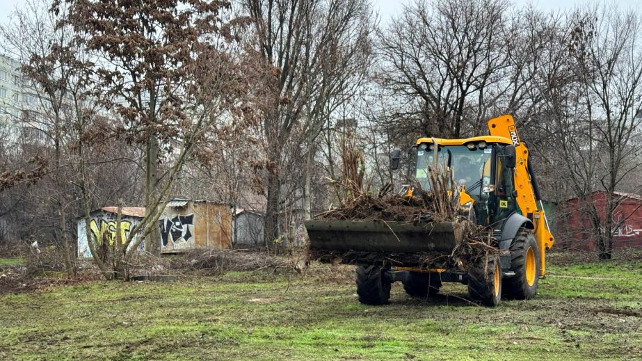 Понад 100 тонн відходів: масштабну толоку провели в одному з районів Запоріжжя