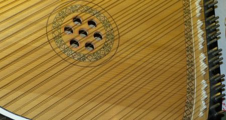 Ко Дню вышиванки в ботсаду Запорожья устроят музыкальный вечер с бандурой