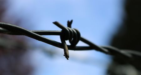 16 человек погибли, 35 ранены вследствие удара РФ по колонии под Запорожьем