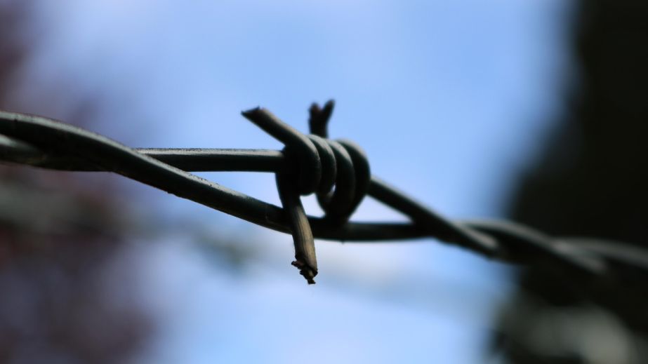 16 человек погибли, 35 ранены вследствие удара РФ по колонии под Запорожьем