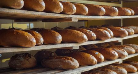 Для випічки хліба мешканцям окупованих територій залишають кормове зерно