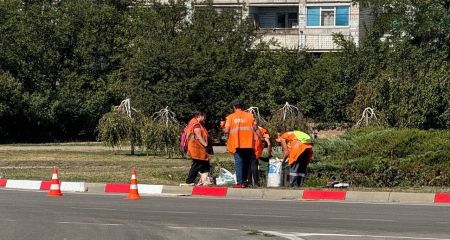 Комунальники наводять лад у Хортицькому районі Запоріжжя: що зробили