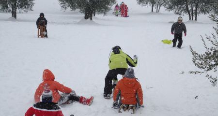 Отдых на Львовщине организуют для детей из Запорожской области