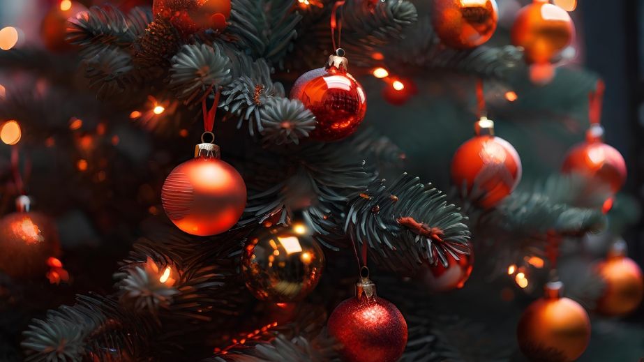 Сколько потратили в Запорожье и других городах Украины на новогодние праздники