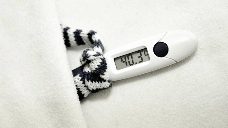 Почти 100 тысяч запорожцев переболели гриппом и ОРВИ за сезон