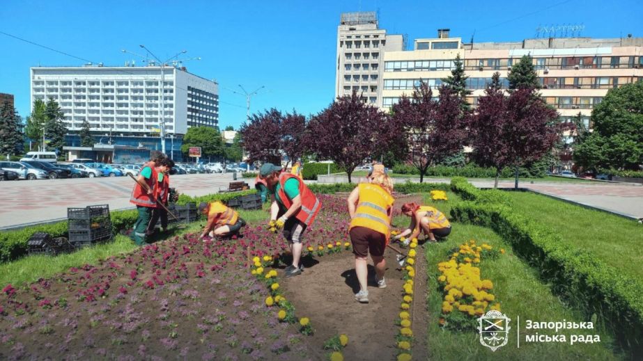 Квітковий орнамент біля ОДА: в центрі Запоріжжя висадять 3,5 тисячі квітів