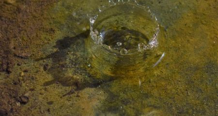 У захопленому місті на Запоріжжі нечистоти зливають у відкриту воду: які наслідки