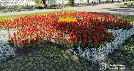 Мак на прапорі: в центрі Запоріжжя завершують тематичну композицію