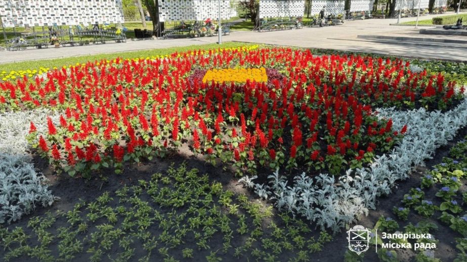 Мак на флаге: в центре Запорожья завершают тематическую композицию